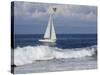 Sailboat on Monterey Bay, California-Lynn M^ Stone-Stretched Canvas