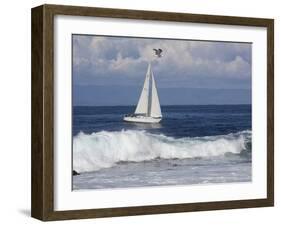 Sailboat on Monterey Bay, California-Lynn M^ Stone-Framed Photographic Print