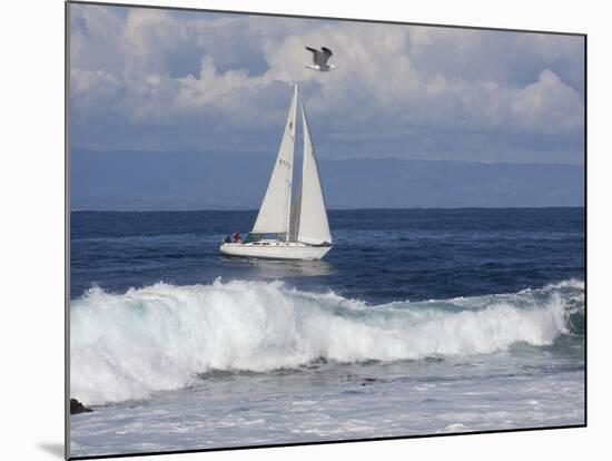 Sailboat on Monterey Bay, California-Lynn M^ Stone-Mounted Photographic Print