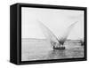 Sailboat on the Nile-Bettmann-Framed Stretched Canvas