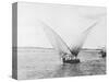 Sailboat on the Nile-Bettmann-Stretched Canvas