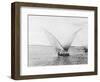 Sailboat on the Nile-Bettmann-Framed Photographic Print