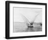 Sailboat on the Nile-Bettmann-Framed Photographic Print