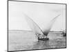 Sailboat on the Nile-Bettmann-Mounted Photographic Print