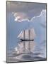 Sailboat On Water-rolffimages-Mounted Art Print