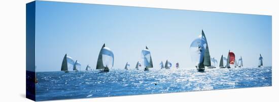 Sailboat Race, Key West Florida, USA-null-Stretched Canvas