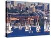 Sailboat Race on Lake Union, Seattle, Washington, USA-William Sutton-Stretched Canvas