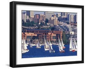 Sailboat Race on Lake Union, Seattle, Washington, USA-William Sutton-Framed Photographic Print