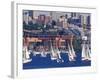 Sailboat Race on Lake Union, Seattle, Washington, USA-William Sutton-Framed Photographic Print