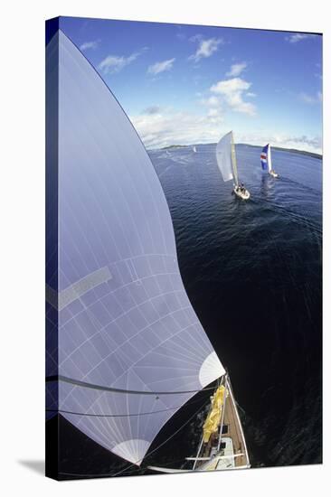 Sailboat Racing around Vancouver Island-Dave Heath-Stretched Canvas