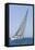 Sailboat Racing in the Blue and Calm Ocean against Sky-Nosnibor137-Framed Stretched Canvas