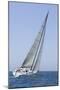 Sailboat Racing in the Blue and Calm Ocean against Sky-Nosnibor137-Mounted Photographic Print