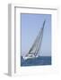 Sailboat Racing in the Blue and Calm Ocean against Sky-Nosnibor137-Framed Photographic Print