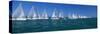 Sailboat Racing in the Ocean, Key West, Florida, USA-null-Stretched Canvas
