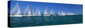 Sailboat Racing in the Ocean, Key West, Florida, USA-null-Stretched Canvas