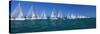 Sailboat Racing in the Ocean, Key West, Florida, USA-null-Stretched Canvas