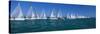 Sailboat Racing in the Ocean, Key West, Florida, USA-null-Stretched Canvas