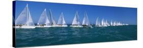 Sailboat Racing in the Ocean, Key West, Florida, USA-null-Stretched Canvas