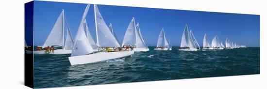 Sailboat Racing in the Ocean, Key West, Florida, USA-null-Stretched Canvas