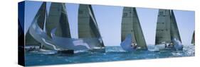 Sailboat Racing in the Ocean, Key West, Florida, USA-null-Stretched Canvas