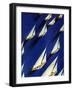 "Sailboat Regatta," June 29, 1940-Ski Weld-Framed Giclee Print