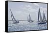 Sailboat Regattas. British Virgin Islands, West Indies, Caribbean, Central America-J P De Manne-Framed Stretched Canvas