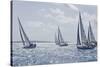 Sailboat Regattas. British Virgin Islands, West Indies, Caribbean, Central America-J P De Manne-Stretched Canvas