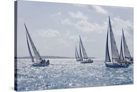 Sailboat Regattas. British Virgin Islands, West Indies, Caribbean, Central America-J P De Manne-Stretched Canvas