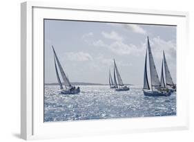 Sailboat Regattas. British Virgin Islands, West Indies, Caribbean, Central America-J P De Manne-Framed Photographic Print