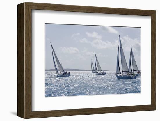 Sailboat Regattas. British Virgin Islands, West Indies, Caribbean, Central America-J P De Manne-Framed Photographic Print