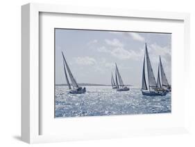 Sailboat Regattas. British Virgin Islands, West Indies, Caribbean, Central America-J P De Manne-Framed Photographic Print