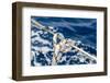Sailboat Rope Detail-Zechal-Framed Photographic Print