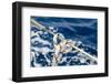 Sailboat Rope Detail-Zechal-Framed Photographic Print