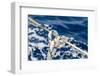 Sailboat Rope Detail-Zechal-Framed Photographic Print