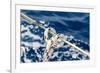 Sailboat Rope Detail-Zechal-Framed Photographic Print