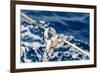 Sailboat Rope Detail-Zechal-Framed Photographic Print