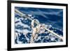 Sailboat Rope Detail-Zechal-Framed Photographic Print