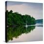 Sailboat Sailing Down the Tombigbee River in Mississippi, USA-Joe Restuccia III-Stretched Canvas