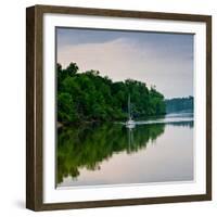 Sailboat Sailing Down the Tombigbee River in Mississippi, USA-Joe Restuccia III-Framed Photographic Print