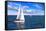 Sailboat Sailing in the Morning with Blue Cloudy Sky-elenathewise-Framed Stretched Canvas