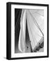 Sailboat Sails Florida-Winthrope Hiers-Framed Photographic Print