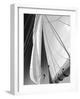 Sailboat Sails Florida-Winthrope Hiers-Framed Photographic Print