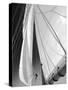 Sailboat Sails Florida-Winthrope Hiers-Stretched Canvas