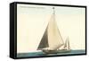 Sailboat, San Diego, California-null-Framed Stretched Canvas