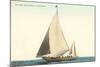 Sailboat, San Diego, California-null-Mounted Art Print