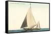 Sailboat, San Diego, California-null-Framed Stretched Canvas