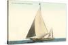 Sailboat, San Diego, California-null-Stretched Canvas