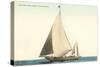 Sailboat, San Diego, California-null-Stretched Canvas