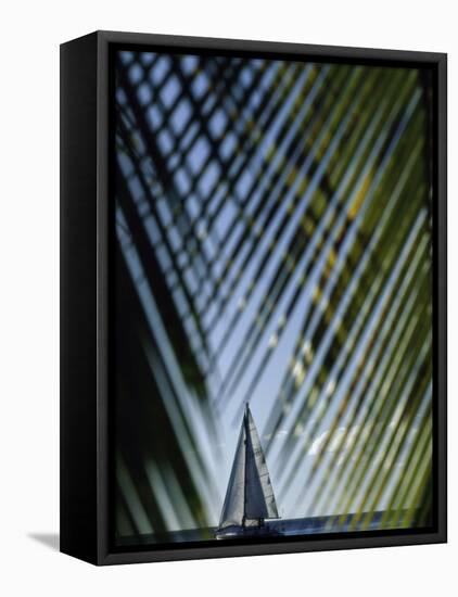 Sailboat Seen Through Palm Fronds-null-Framed Stretched Canvas