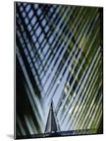 Sailboat Seen Through Palm Fronds-null-Mounted Photographic Print